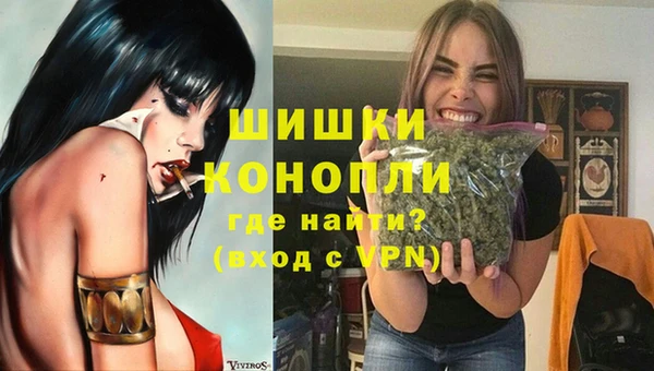 молекула духа Белоозёрский